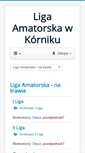 Mobile Screenshot of amatorskaliga.pl