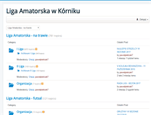 Tablet Screenshot of amatorskaliga.pl